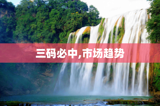 三码必中,市场趋势