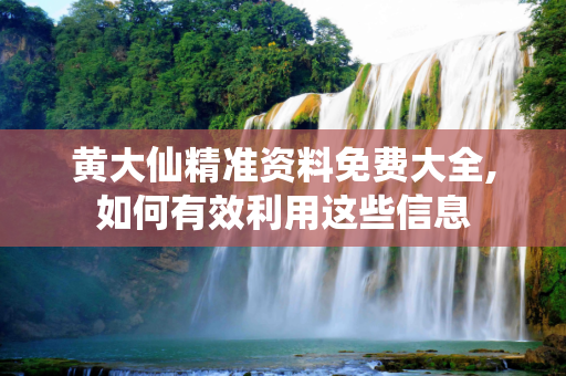 黄大仙精准资料免费大全,如何有效利用这些信息