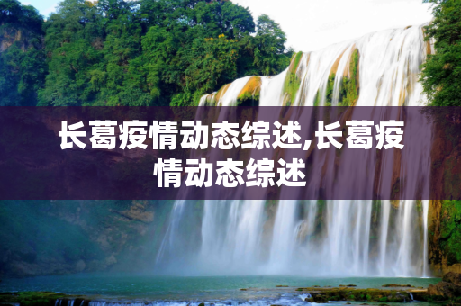 长葛疫情动态综述,长葛疫情动态综述