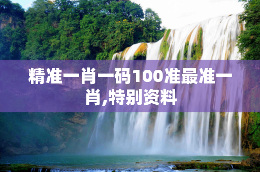 精准一肖一码100准最准一肖,特别资料