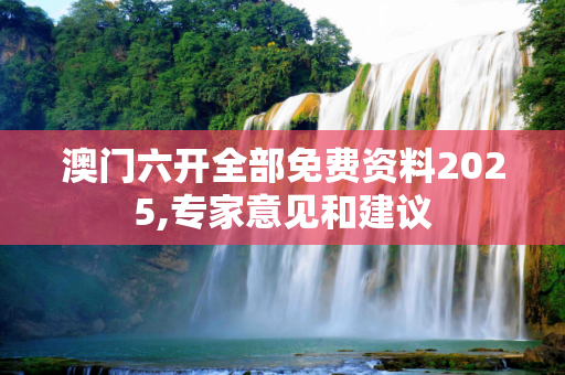 澳门六开全部免费资料2025,专家意见和建议