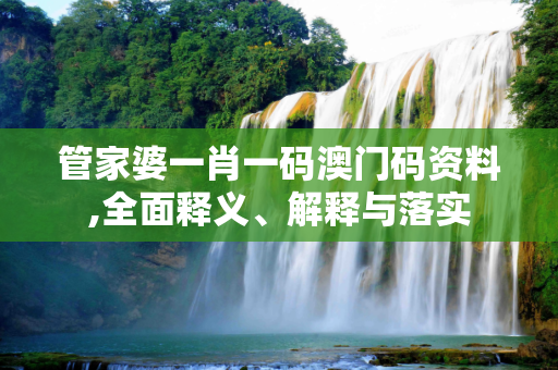 管家婆一肖一码澳门码资料,全面释义、解释与落实