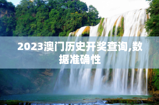 2023澳门历史开奖查询,数据准确性