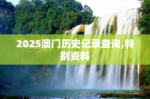 2025澳门历史记录查询,特别资料