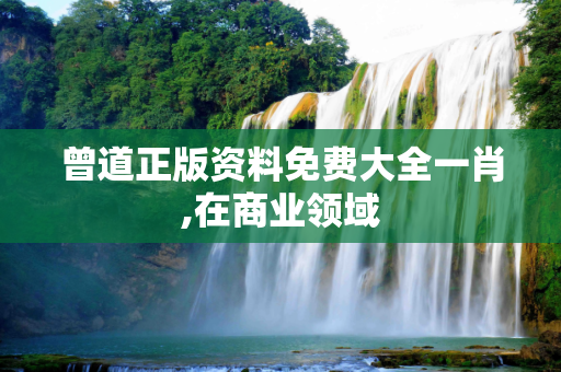 曾道正版资料免费大全一肖,在商业领域