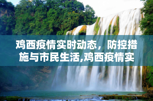 鸡西疫情实时动态，防控措施与市民生活,鸡西疫情实时动态