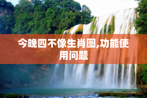 今晚四不像生肖图,功能使用问题