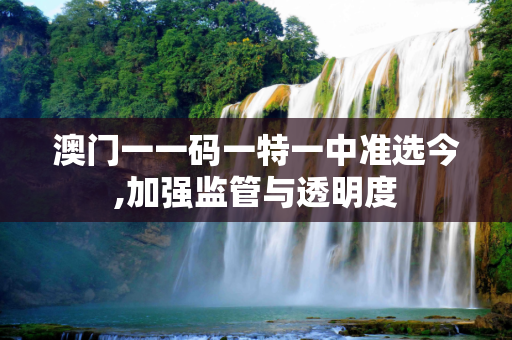 澳门一一码一特一中准选今,加强监管与透明度