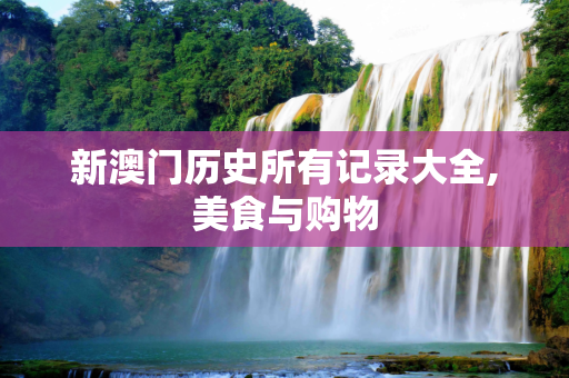 新澳门历史所有记录大全,美食与购物