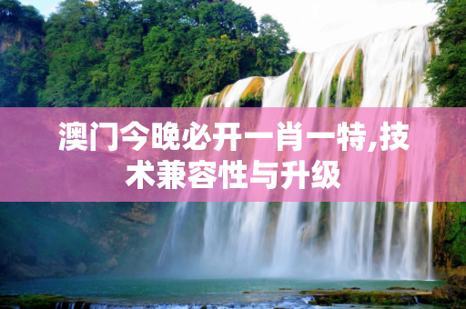澳门今晚必开一肖一特,技术兼容性与升级