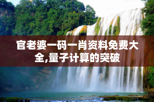 官老婆一码一肖资料免费大全,量子计算的突破