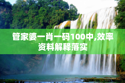 管家婆一肖一码100中,效率资料解释落实