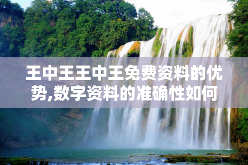 王中王王中王免费资料的优势,数字资料的准确性如何保证？