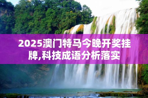 2025澳门特马今晚开奖挂牌,科技成语分析落实