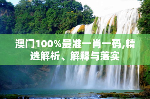澳门100%最准一肖一码,精选解析、解释与落实