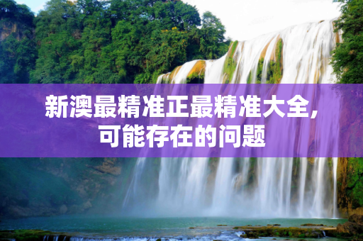 新澳最精准正最精准大全,可能存在的问题