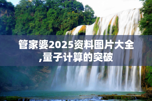 管家婆2025资料图片大全,量子计算的突破
