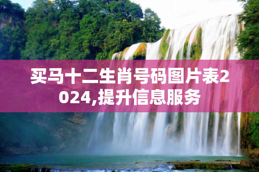 买马十二生肖号码图片表2024,提升信息服务