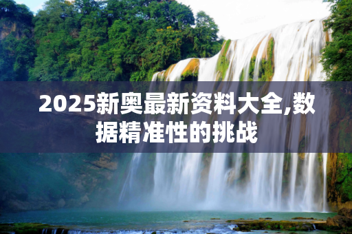 2025新奥最新资料大全,数据精准性的挑战