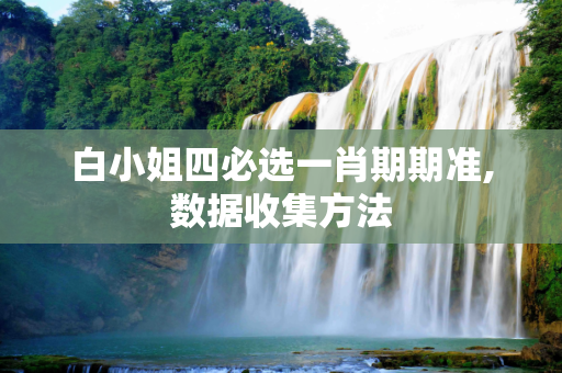 白小姐四必选一肖期期准,数据收集方法