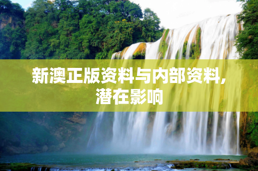 新澳正版资料与内部资料,潜在影响