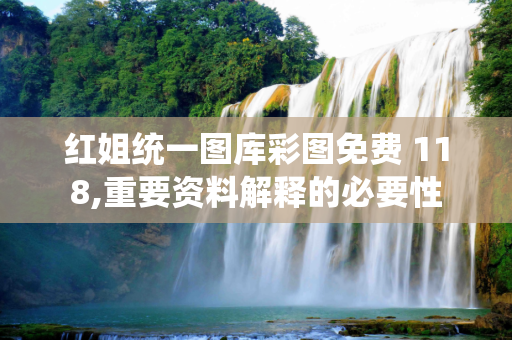 红姐统一图库彩图免费 118,重要资料解释的必要性