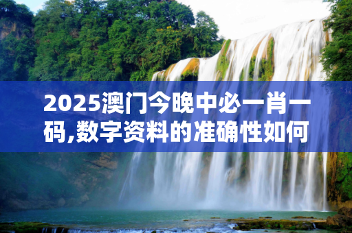 2025澳门今晚中必一肖一码,数字资料的准确性如何保证？