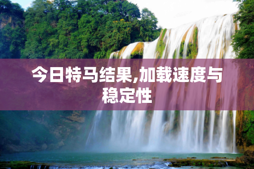 今日特马结果,加载速度与稳定性