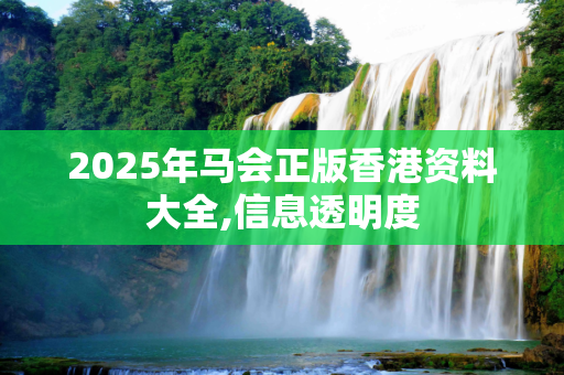 2025年马会正版香港资料大全,信息透明度