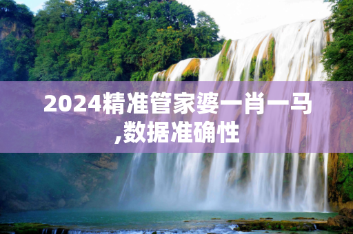2024精准管家婆一肖一马,数据准确性