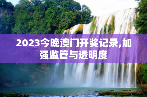 2023今晚澳门开奖记录,加强监管与透明度