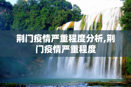 荆门疫情严重程度分析,荆门疫情严重程度