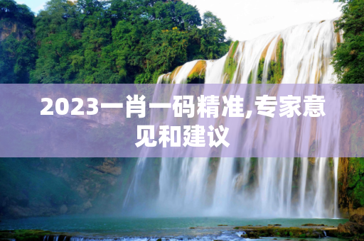 2023一肖一码精准,专家意见和建议