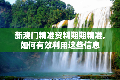 新澳门精准资料期期精准,如何有效利用这些信息
