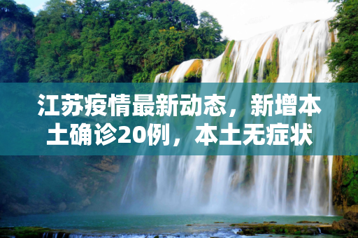 江苏疫情最新动态，新增本土确诊20例，本土无症状27例,江苏新增本土确诊20例、本土无症状27例