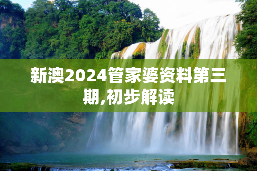 新澳2024管家婆资料第三期,初步解读
