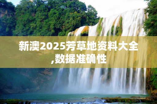 新澳2025芳草地资料大全,数据准确性
