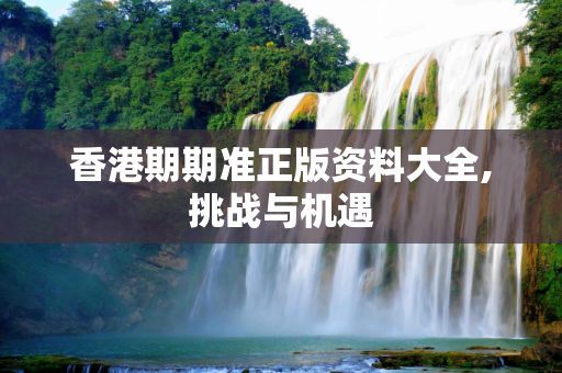 香港期期准正版资料大全,挑战与机遇