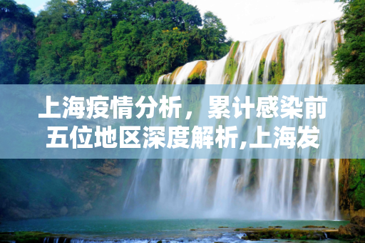 上海疫情分析，累计感染前五位地区深度解析,上海发布累计感染前五位地区