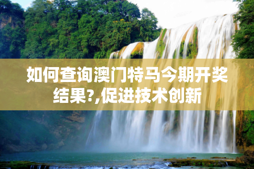 如何查询澳门特马今期开奖结果?,促进技术创新