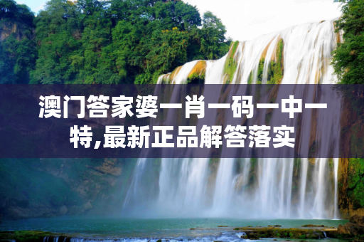 澳门答家婆一肖一码一中一特,最新正品解答落实