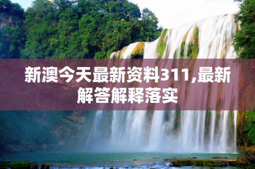 新澳今天最新资料311,最新解答解释落实