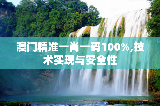 澳门精准一肖一码100%,技术实现与安全性