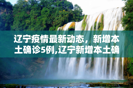 辽宁疫情最新动态，新增本土确诊5例,辽宁新增本土确诊5例