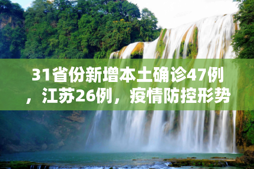 31省份新增本土确诊47例，江苏26例，疫情防控形势严峻,31省份新增本土确诊47例江苏26例