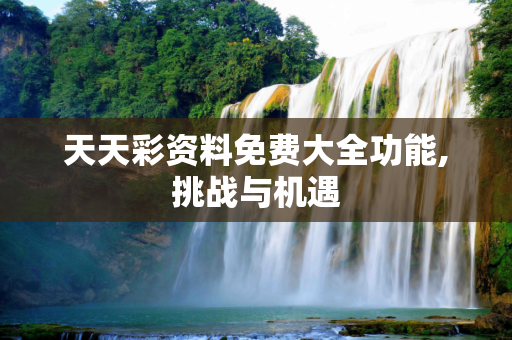 天天彩资料免费大全功能,挑战与机遇