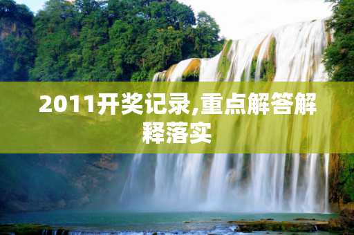 2011开奖记录,重点解答解释落实