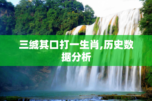 三缄其口打一生肖,历史数据分析