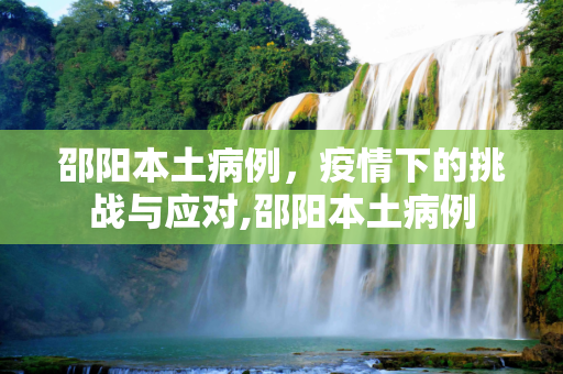 邵阳本土病例，疫情下的挑战与应对,邵阳本土病例