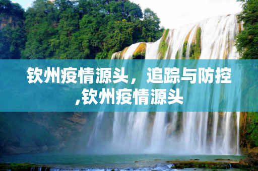 钦州疫情源头，追踪与防控,钦州疫情源头
